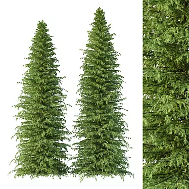 Cedrus Deodara Architectural Tree Models 3D model image 1 