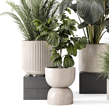  Modern Indoor Plants Set 2052 3D model image 1 