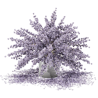 3D Plant & Decor Collection 3D model image 1 