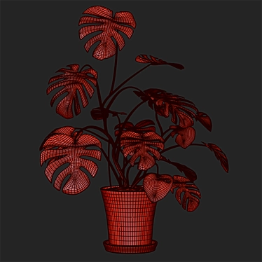 Monster Decorative Plant in Concrete Pot 3D model image 1 