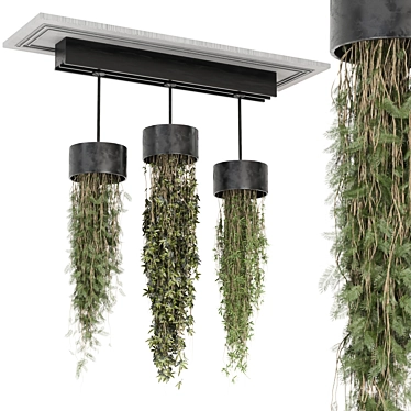  Metal Box Indoor Hanging Plants 3D model image 1 