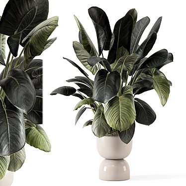 Stylish Indoor Plants Set 2061 3D model image 1 