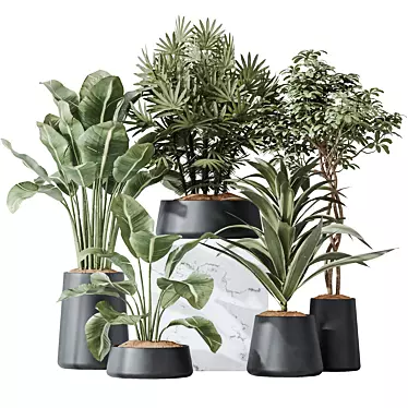  Indoor Plant Variety Set 3D model image 1 