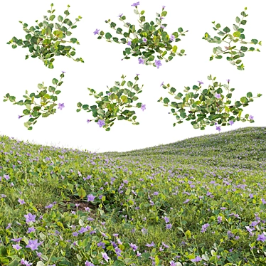  3D Plant Variations Collection 3D model image 1 