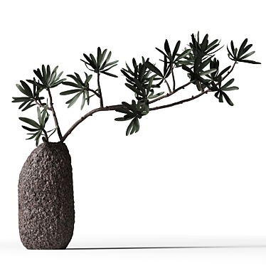 Brown Clay Vase with Podocarpus 3D model image 1 