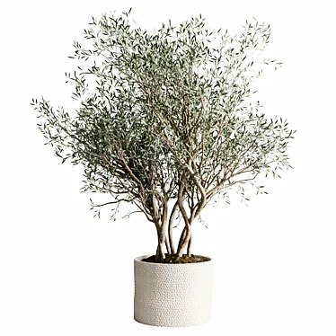 Concrete Olive Tree Pot Plant 3D model image 1 