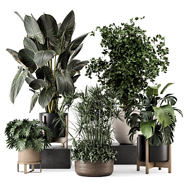 Modern Indoor Plants Ferm Living 3D model image 1 