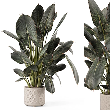 Modern Indoor Plant with Stylish Pot 3D model image 1 