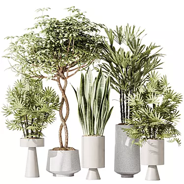 Minimalist Indoor Plant Set Collection 3D model image 1 
