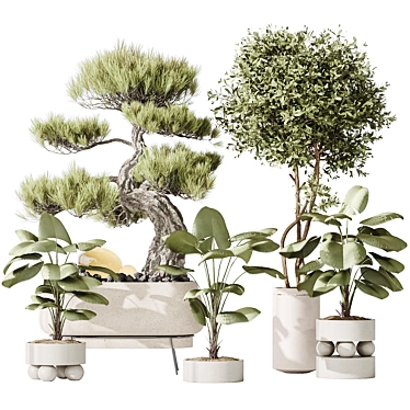 5 Indoor Plant 3D Models 3D model image 1 