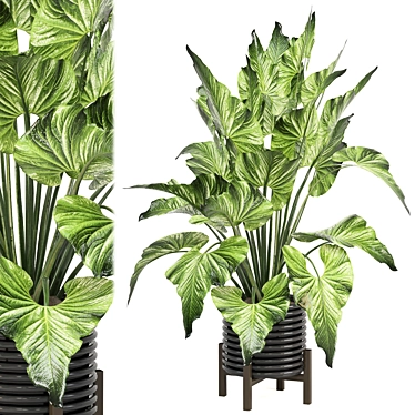 Modern Indoor Plants Set 1242 3D model image 1 