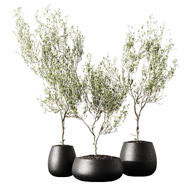 Metal Pot Plant Trio Set 3D model image 1 