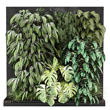 Outdoor Plants Collection | 3D Model 3D model image 1 