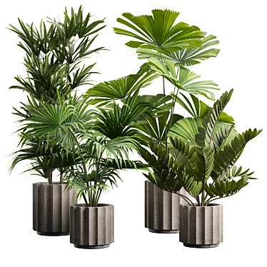 Exotic Indoor Plants Pack 66 3D model image 1 