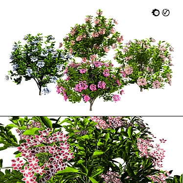 Evergreen Blooming Shrub 3D Collection 3D model image 1 