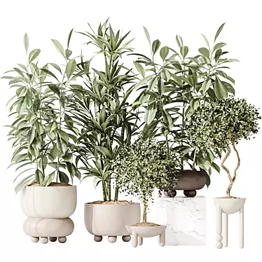 Variety Indoor Plant Set Collection 3D model image 1 