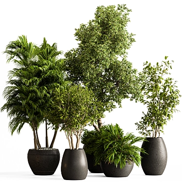 Luxury Foliage Tree Pot 668 3D model image 1 