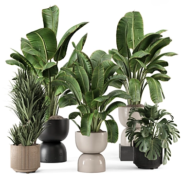 Modern Indoor Plants Set 2102 3D model image 1 