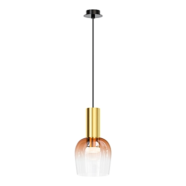 Modern Pendant Light Fixture  3D model image 1 