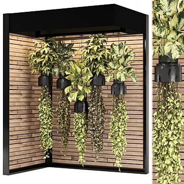 indoor hanging plants collection_set 1253