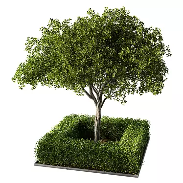 Garden Oasis Plant Set 3D model image 1 