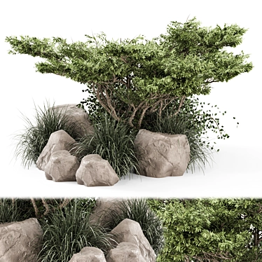 Outdoor Garden Bush Tree Set 3D model image 1 