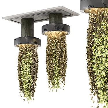 Metal Box Hanging Plants Set 3D model image 1 