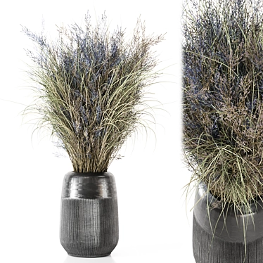 Unique Dry Bouquet Plants Set 3D model image 1 