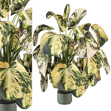  Modern Indoor Plants Set 1260 3D model image 1 