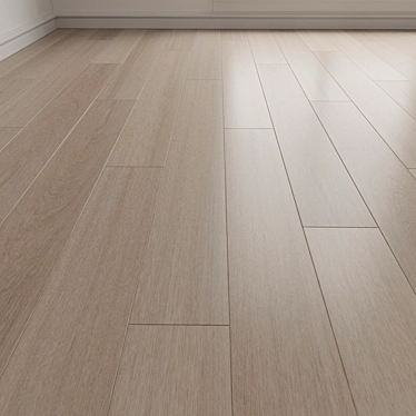 Laminate. Parquet. 10