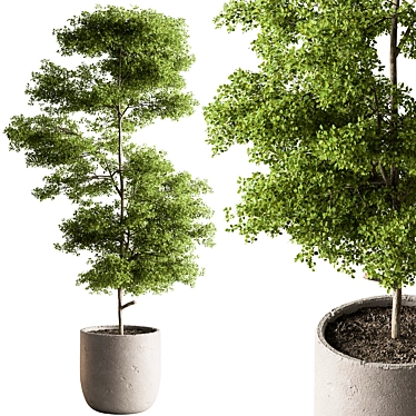 Tree in Pot: Indoor 712 3D model image 1 