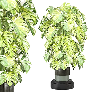 Modern Indoor Plants Collection Set 3D model image 1 