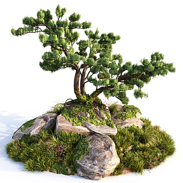 Stone Pine Landscaping Solution 3D model image 1 