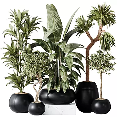 Modern Indoor Plant Set 47 3D model image 1 