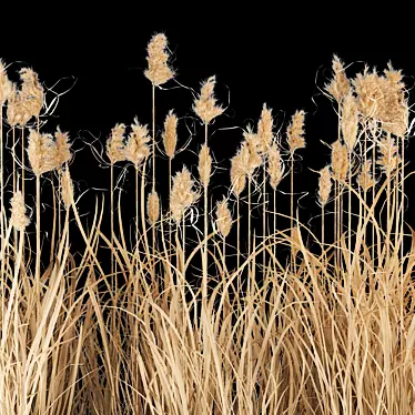 Wild Reed Plant 3D Model 3D model image 1 