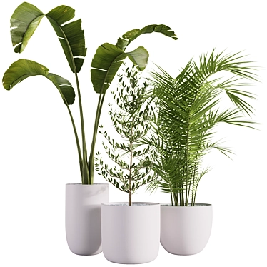 Indoor plants set