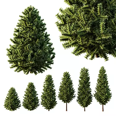  Evergreen 3D Pin Tree Model 3D model image 1 