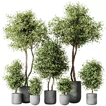 Elegant Olive Tree Set - Yardzen 3D model image 1 