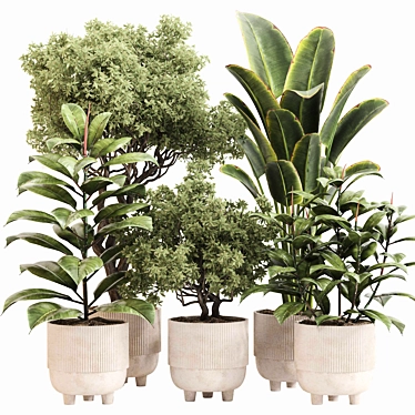 Stylish Indoor Plant Set 092 3D model image 1 