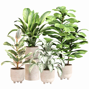 Modern Indoor Plant Set 3D 3D model image 1 