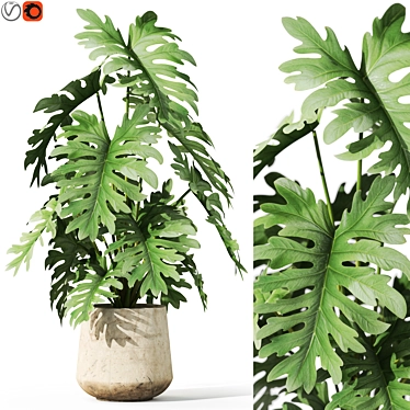 Botanical Set 1076: Lush Greenery 3D model image 1 