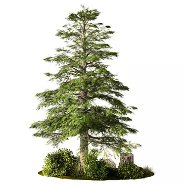 Rustic Outdoor Plant Set 3D model image 1 