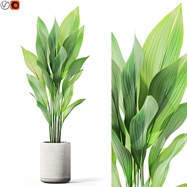  Greenery Assortment Pack 1080 3D model image 1 