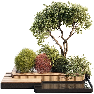 backyard and landscape garden tree and boxwood set 311