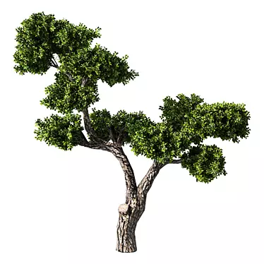 Contemporary Tree Sculpture: No.96 3D model image 1 