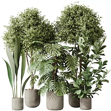 Variety Indoor Plants Set 59 3D model image 1 