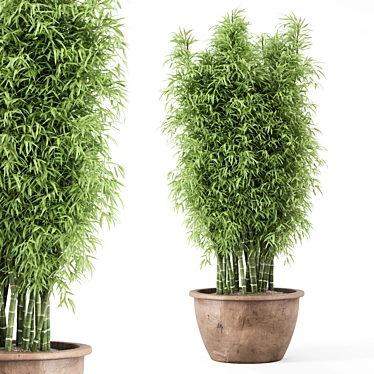 Bamboo Outdoor Plants Set 2172 3D model image 1 