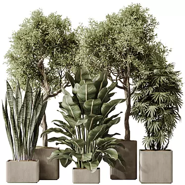 3D Indoor Plant Set Bundle 3D model image 1 