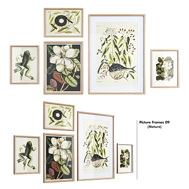 Nature Collection Picture Frames 3D model image 1 