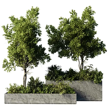 concrete box plants on stand - set outdoor plants 196